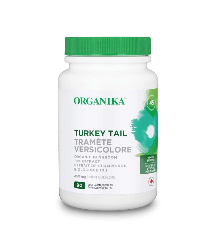 Turkey Tail Organic Mushroom 10:1 Extract