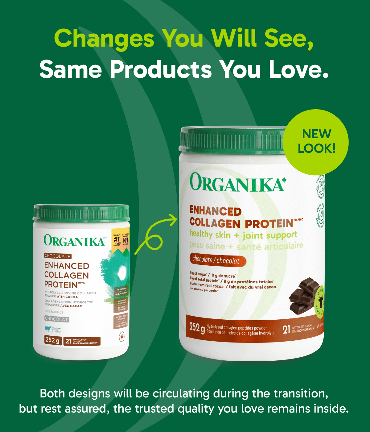 Enhanced Collagen Protein Chocolate