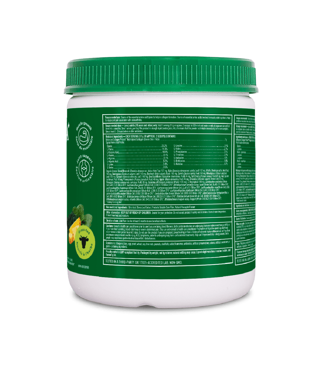 Enhanced Collagen Protein Power Greens with Probiotics