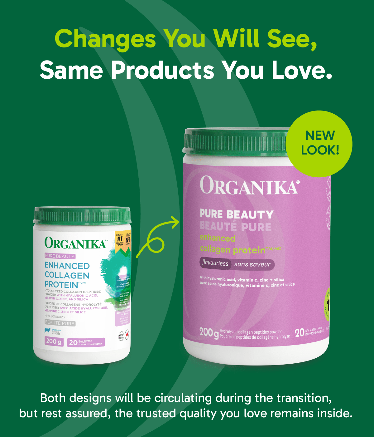 Enhanced Collagen Protein Pure Beauty