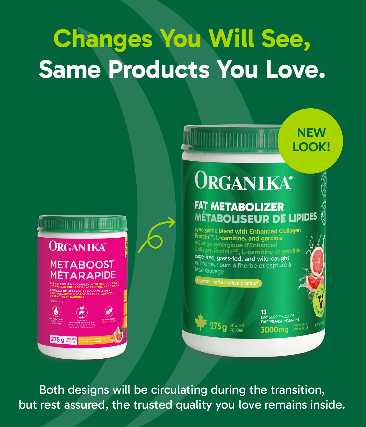 Fat Metabolizer Powder