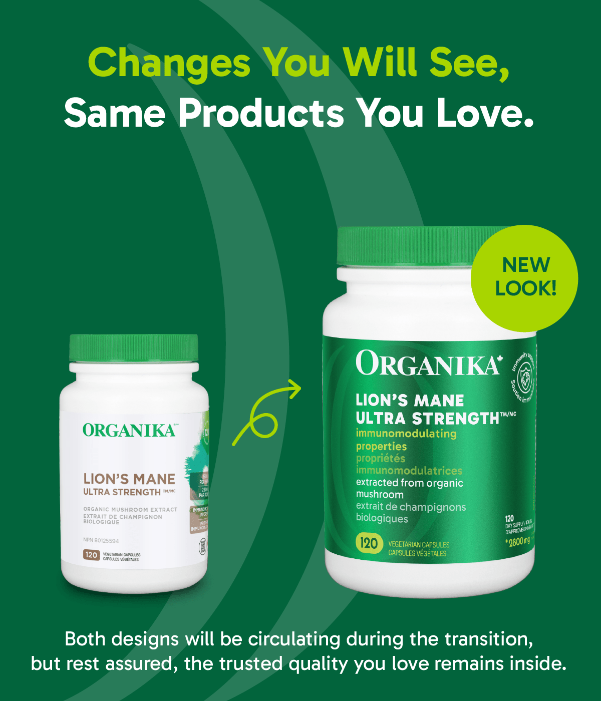 Lion's Mane Ultra Strength Organic Mushroom Extract