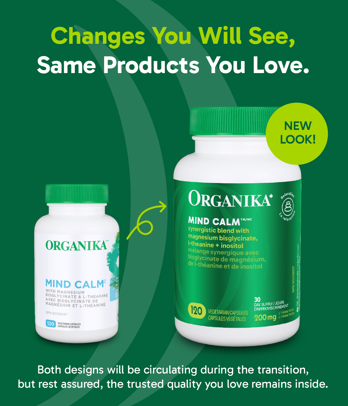 Mind Calm Capsules with Magnesium Bisglycinate & L-Theanine