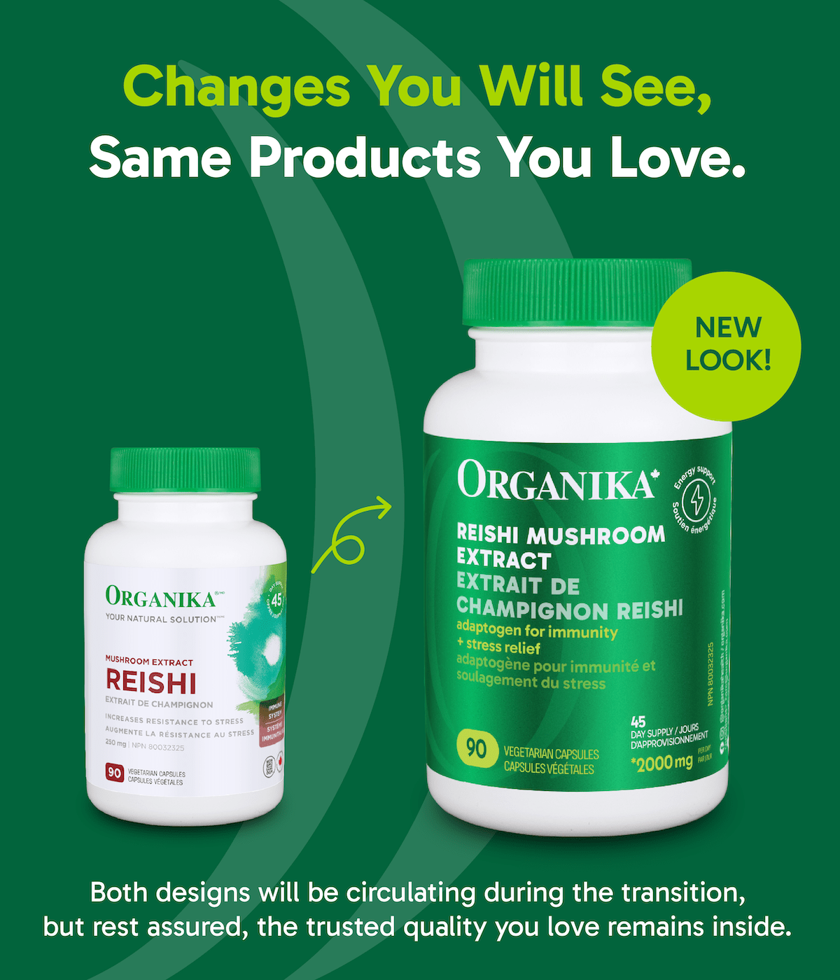Reishi Mushroom Extract
