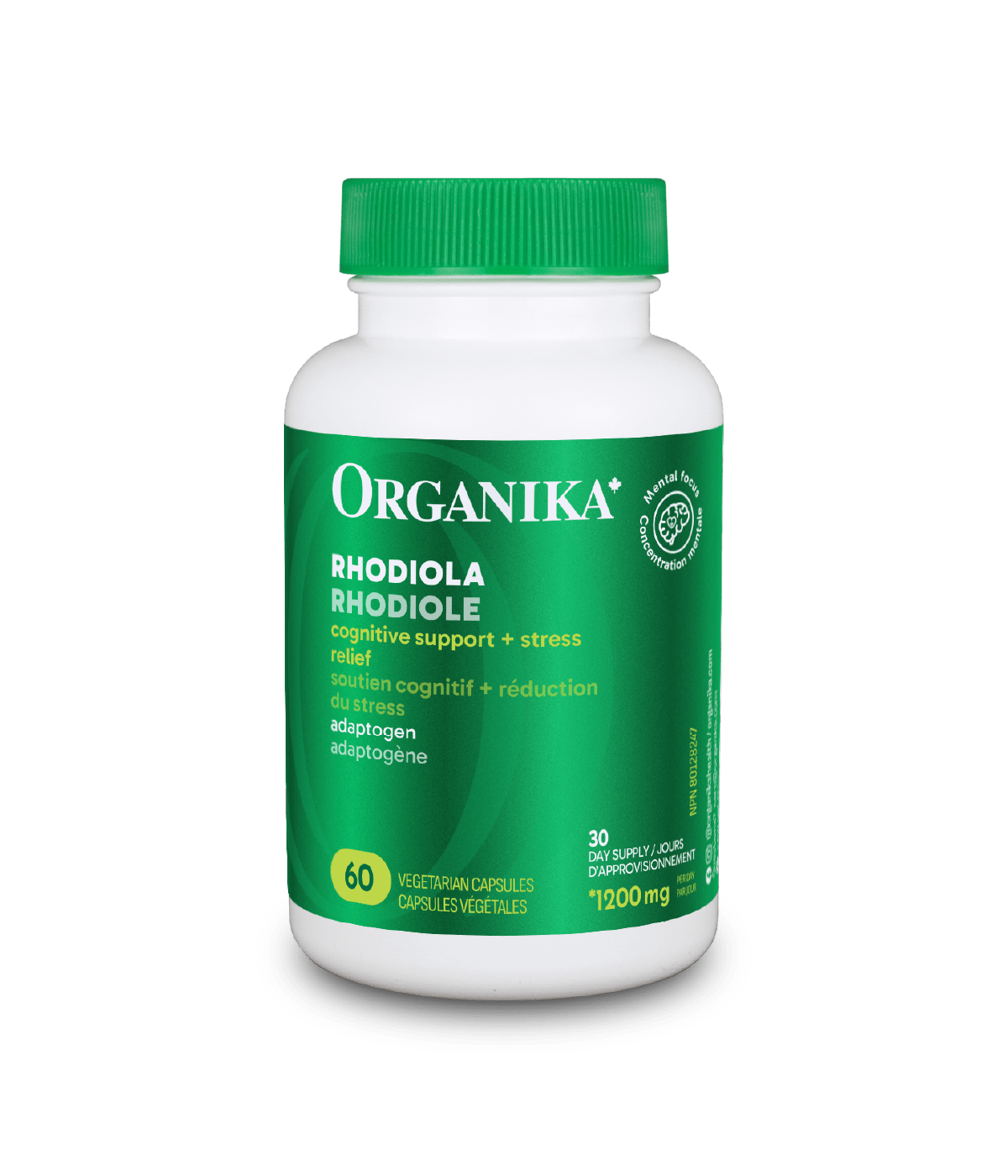 Rhodiola