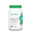 Turkey Tail Organic Mushroom 10:1 Extract